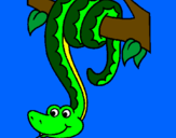 Disegno Serpente avvinghiata ad un albero  pitturato su VERA