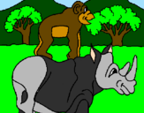 Disegno Rinoceronte e scimmietta  pitturato su Samuel Loris