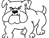 Disegno Bulldog  pitturato su matteo