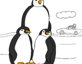 Disegno Famiglia pinguino  pitturato su sara
