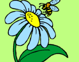 Disegno Margherita con ape  pitturato su hassan