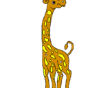 Disegno Giraffa  pitturato su INGRID