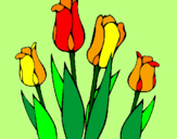 Disegno Tulipani  pitturato su gea