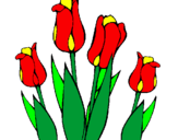 Disegno Tulipani  pitturato su gelsomina