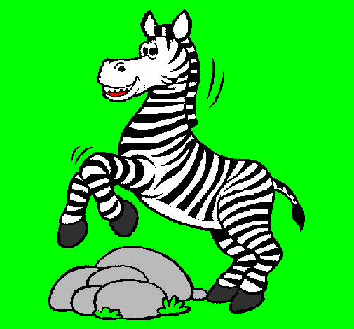 Zebra che salta sulle pietre 