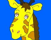 Disegno Muso di giraffa pitturato su maurizio fuselli