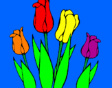 Disegno Tulipani  pitturato su janet