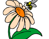 Disegno Margherita con ape  pitturato su fiori