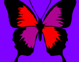 Disegno Farfalla con le ali nere pitturato su aurora  blanc 6 anni