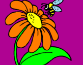Disegno Margherita con ape  pitturato su elisa 456