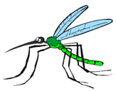 Disegno Zanzara pitturato su zanzara