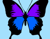 Disegno Farfalla con le ali nere pitturato su rebecca