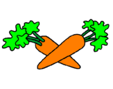 Disegno carote  pitturato su pippo
