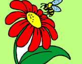 Disegno Margherita con ape  pitturato su aleassia