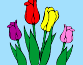 Disegno Tulipani  pitturato su ROSARIA