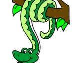 Disegno Serpente avvinghiata ad un albero  pitturato su emy