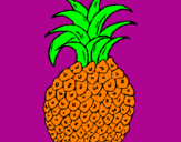 Disegno ananas  pitturato su MARIO F