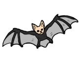 Disegno Pipistrello in volo  pitturato su anita