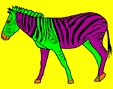 Disegno Zebra  pitturato su  Sofia