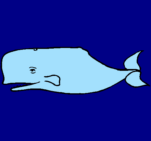 Balena blu