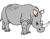 Disegno Rinoceronte  pitturato su simone o