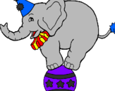 Disegno Elefante sulla palla  pitturato su micaella