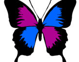 Disegno Farfalla con le ali nere pitturato su ilenia