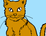 Disegno Gatto  pitturato su margarita