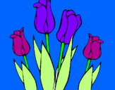 Disegno Tulipani  pitturato su emmachiara