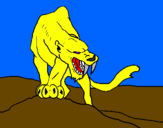 Disegno Tigre con affilati canini  pitturato su Emanuele