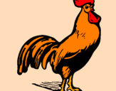 Disegno Gallo gagliardo  pitturato su margarita