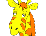 Disegno Muso di giraffa pitturato su totti junior