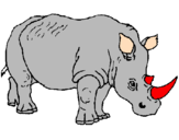 Disegno Rinoceronte  pitturato su kaka