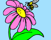 Disegno Margherita con ape  pitturato su io