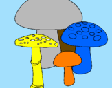 Disegno Funghi pitturato su Alessandro