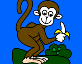Disegno Scimmietta  pitturato su gennaro