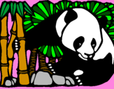 Disegno Orso panda con bambù  pitturato su miii