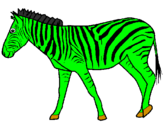 Disegno Zebra  pitturato su FEDE