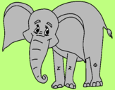 Disegno Elefante felice  pitturato su margarita
