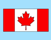 Disegno Canada pitturato su sara