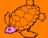 Disegno Tartaruga  pitturato su desirèe