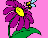 Disegno Margherita con ape  pitturato su MARTY