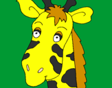 Disegno Muso di giraffa pitturato su Giulia
