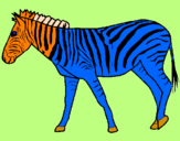 Disegno Zebra  pitturato su liiiiuyyhopèiuytrreeertgt