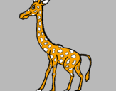 Disegno Giraffa  pitturato su margarita