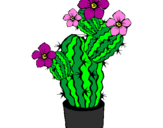 Disegno Fiori di cactus  pitturato su Noemi 
