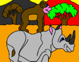 Disegno Rinoceronte e scimmietta  pitturato su javier saez