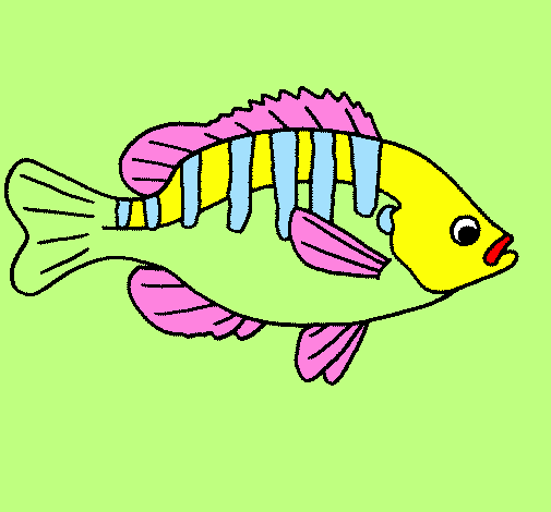 Pesce 