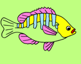 Disegno Pesce  pitturato su ROSA