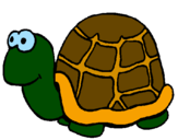 Disegno Tartaruga  pitturato su tartaruga